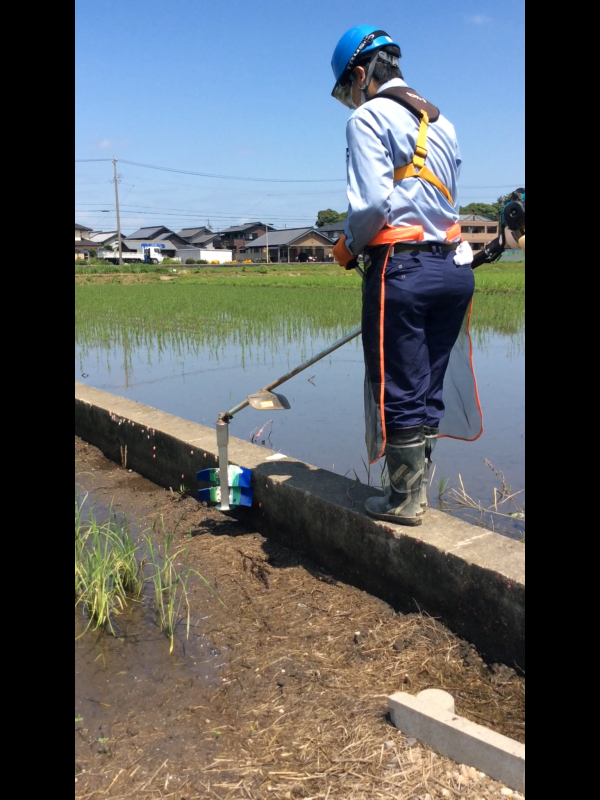 ジャンボタニシ卵粉砕駆除機　高速回転で卵塊粉砕 刈払機に装着する「貝撃」　